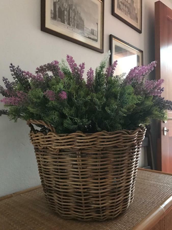 Campo Al Cerro Διαμέρισμα Bolgheri Εξωτερικό φωτογραφία