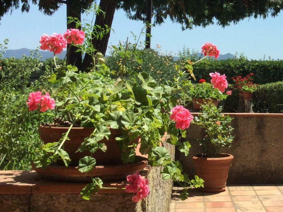 Campo Al Cerro Διαμέρισμα Bolgheri Εξωτερικό φωτογραφία